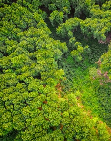 Kestävän kehityksen sitoutumuksemme